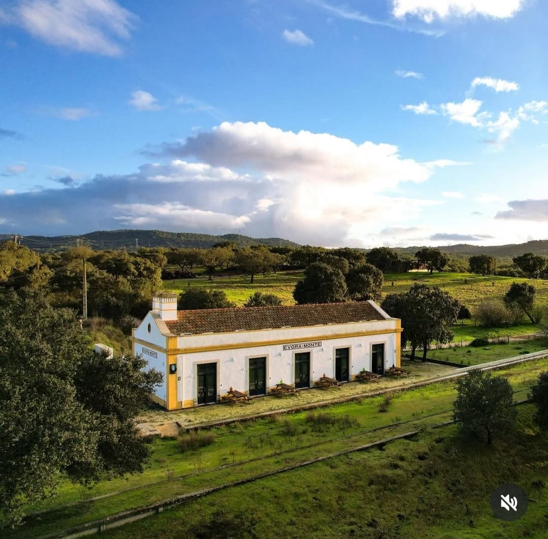 Herdade do Monte Velho — paisagem alentejana